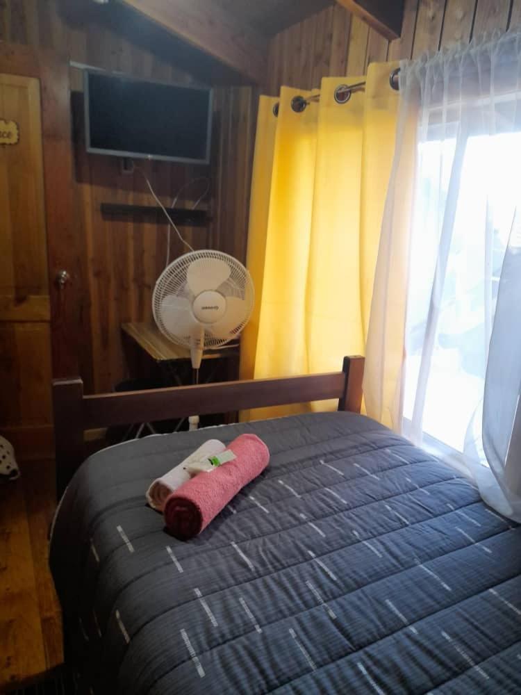 Hostal Newen Villarrica Exterior foto